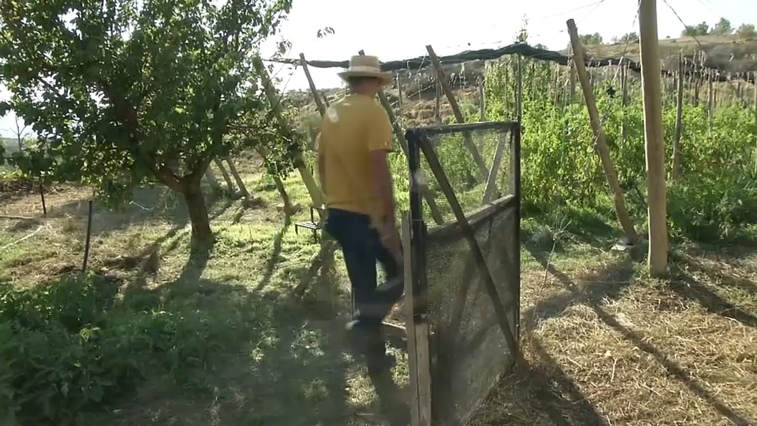 Fran Martínez, agricultor.