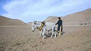 المزارعون الأفغان يعانون من الجفاف والجوع بسبب تغير المناخ في منطقة بالا مرغب في شمال غرب أفغانستان.
