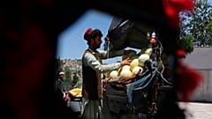 "Countdown zur Katastrophe": 9 Millionen Afghanen droht Hungertod