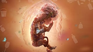 Plastic particles can also carry dangerous pollutants into the womb.