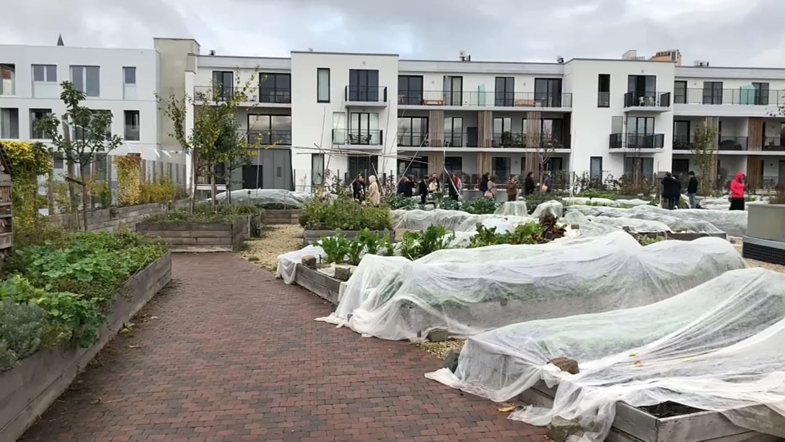 EU-Agrarpolitik für die Stadt: Tomaten und Salat vom Dach