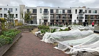 EU-Agrarpolitik für die Stadt: Tomaten und Salat vom Dach