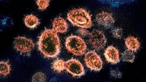 According to a study released on Wednesday, Oct. 27, 2021, Fluvoxamine, a cheap antidepressant, reduced the need for hospitalisation high-risk adults with COVID-19.