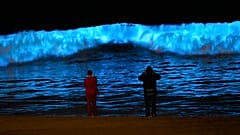 Поведение планктона меняется из-за глобального потепления