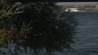Auch das Kreuzfahrtschiff machte sich von Wien aus auf den Weg nach Deutschland