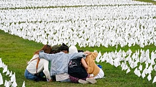 Banderas en recuerdo de los fallecidos por COVID 19 en EEUU