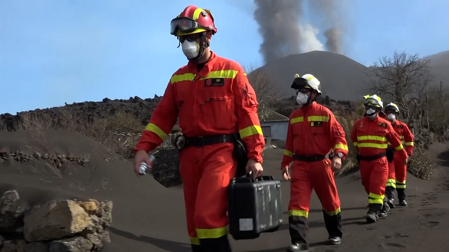 La Palma: túlélő növények és állatok után kutatnak 