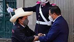 Pedro Castillo y Luis Arce se dan la mano en La Paz, Bolivia