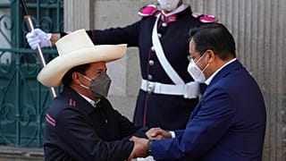 Pedro Castillo y Luis Arce se dan la mano en La Paz, Bolivia