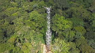 Das Kongobecken - So wird die Lunge unseres Planeten geschützt