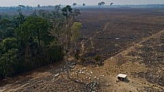 Amazónia perdeu em setembro a floresta equivalente à cidade do Rio de Janeiro