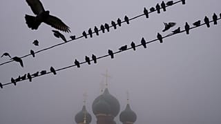 Москву окутал густой туман