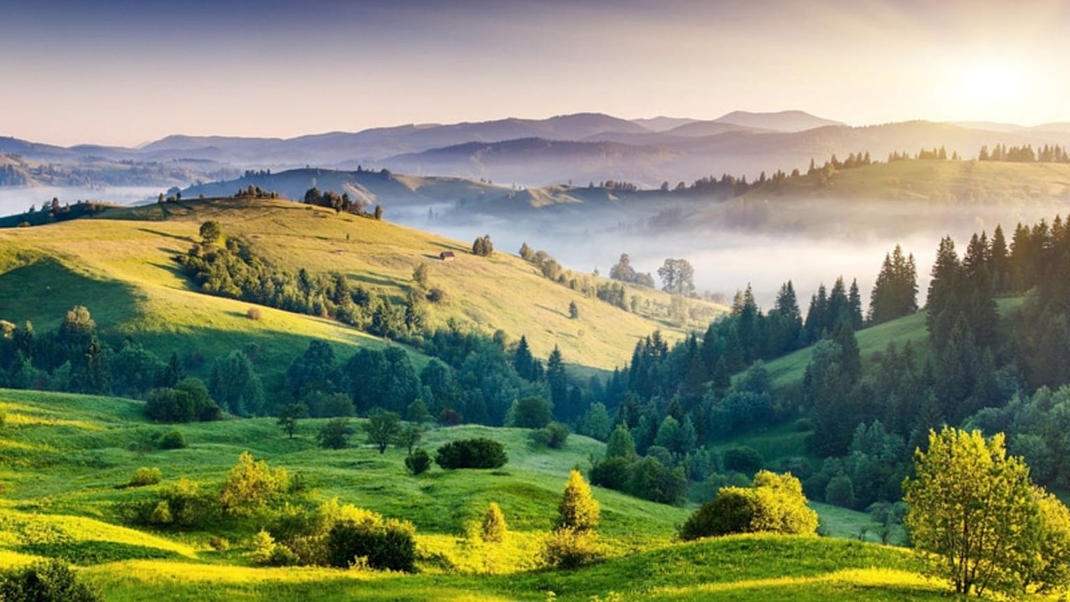This year, India stood out in the WTM Awards emerging as the leading country for Responsible Tourism