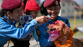 Nepalese police officers and a child worship a police dog during Tihar festival celebrations. 