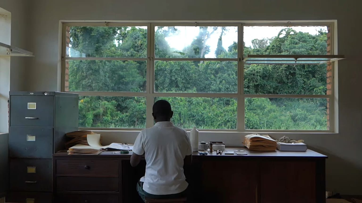 Un employé de l'herbarium de Yangambi