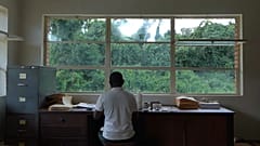 Un employé de l'herbarium de Yangambi