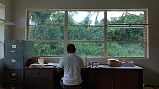 Un employé de l'herbarium de Yangambi