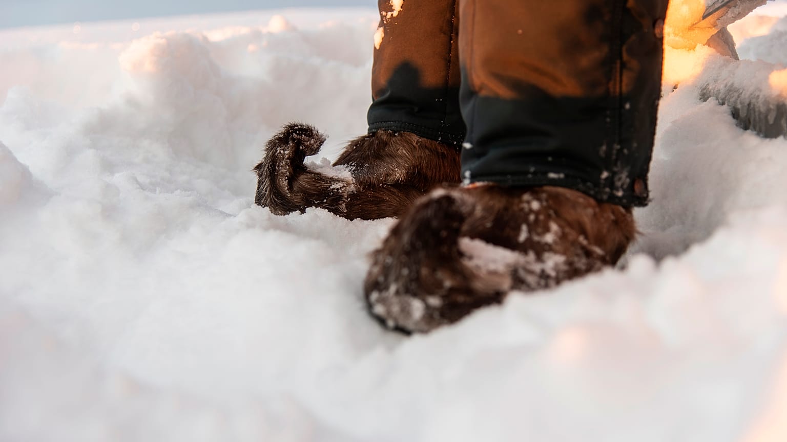 Traditional Sami shoes made from the skin of reindeer on Longastunturi mountain near Kiruna, Sweden.