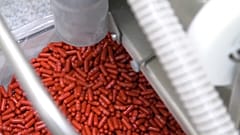 Ci salveranno le pillole di Molnupiravir? 