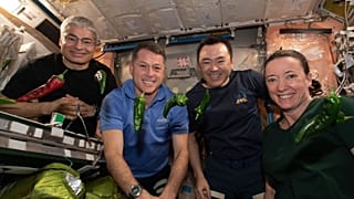 Astronauts in the International Space Station pose with the peppers.