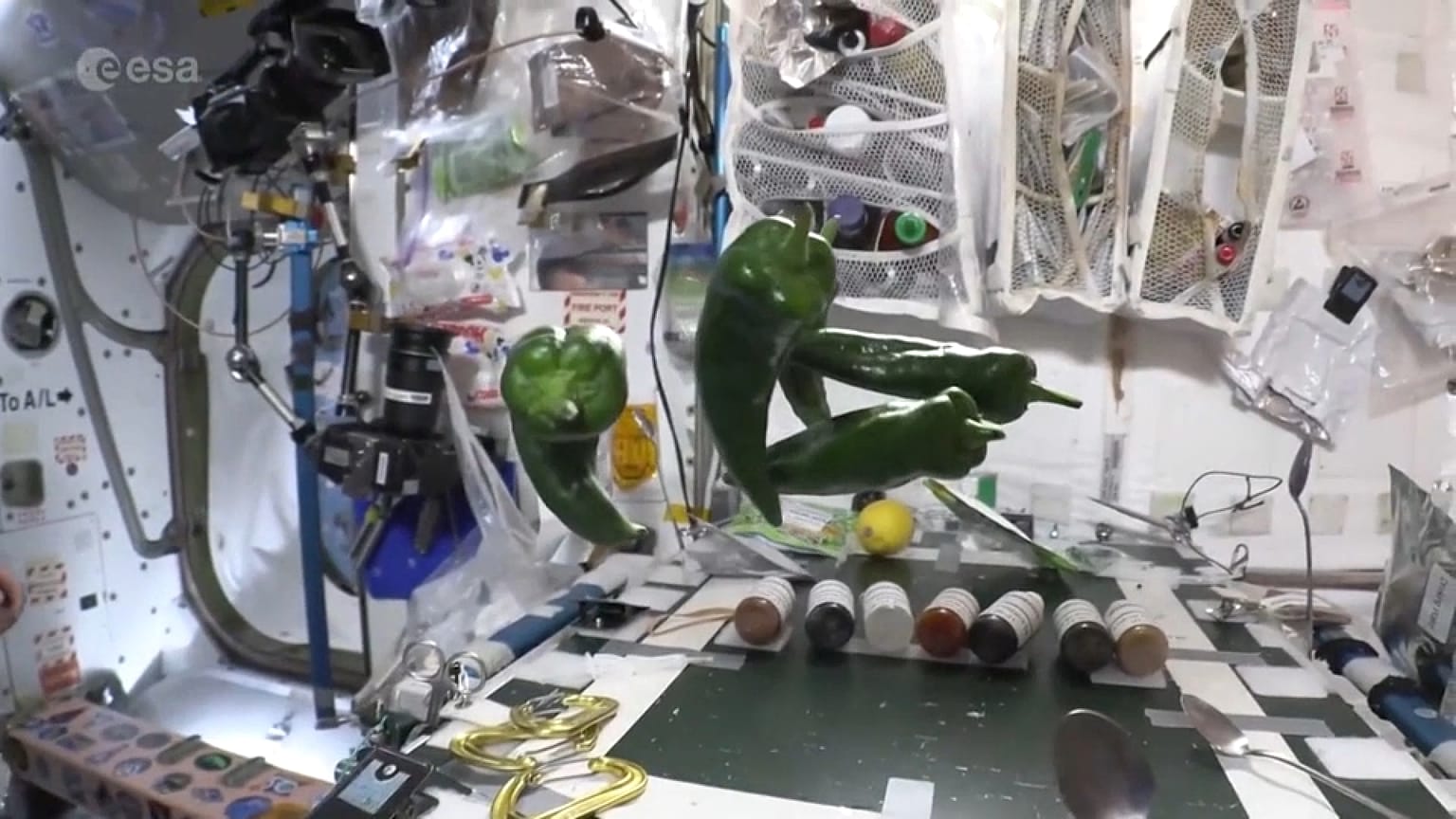 Siete pimientos muy picantes para los astronautas de la Estación Espacial Internacional