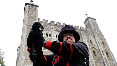 Visitors will be invited to the Tower of London in May 2022 for the experience