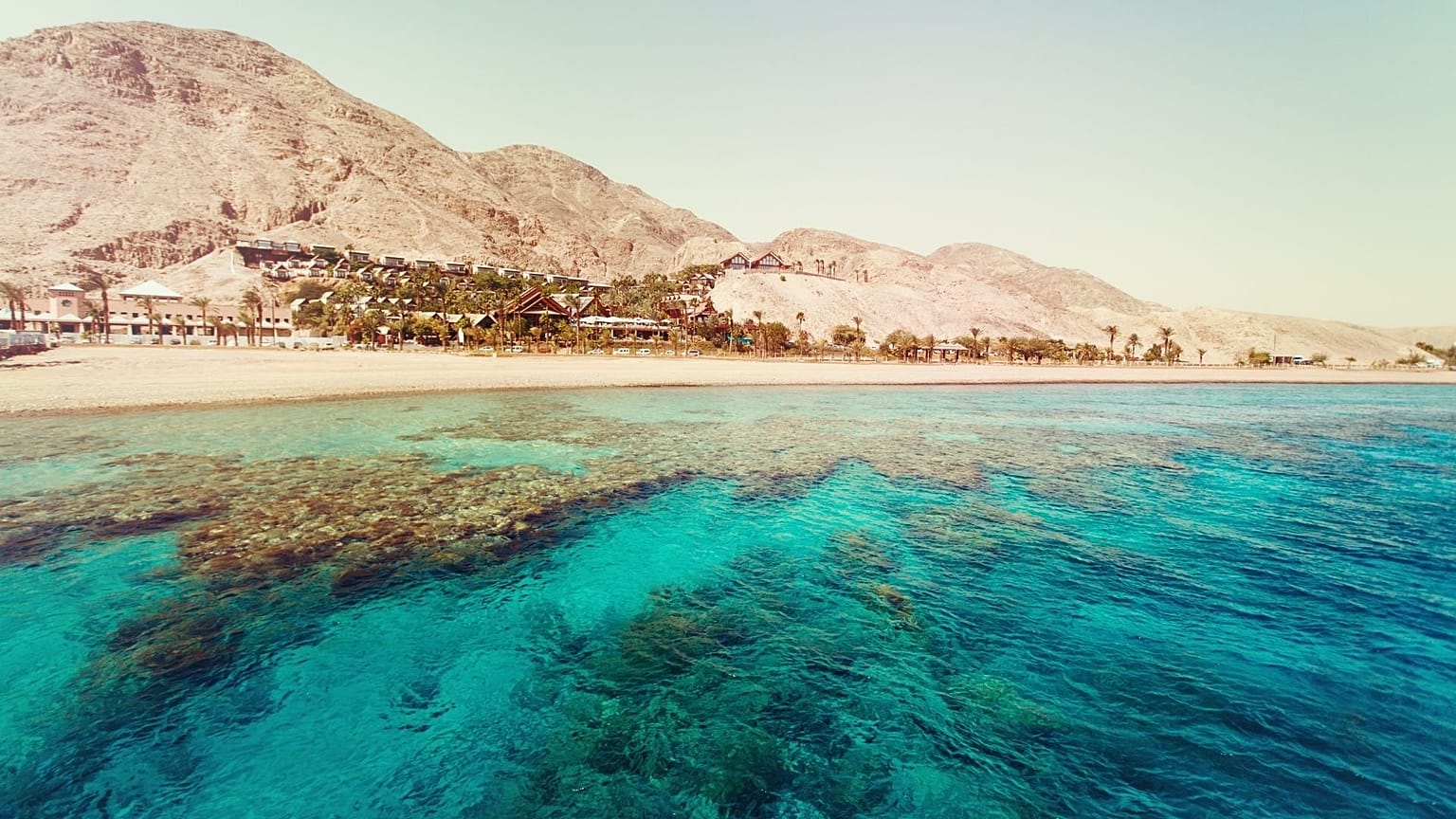 The Red Sea is a sought-after diving destination.