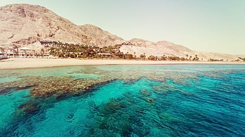 The Red Sea is a sought-after diving destination.