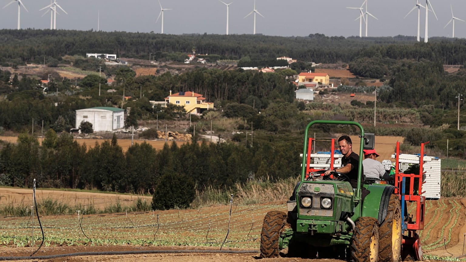 Ein portugiesischer Landwirt bei der Arbeit - Aber: wie lange noch?