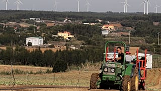 Agricultor trabalha numa plantação de couves, na região Oeste de Portugal