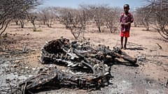 Kenya'yı tehdit eden kuraklık 