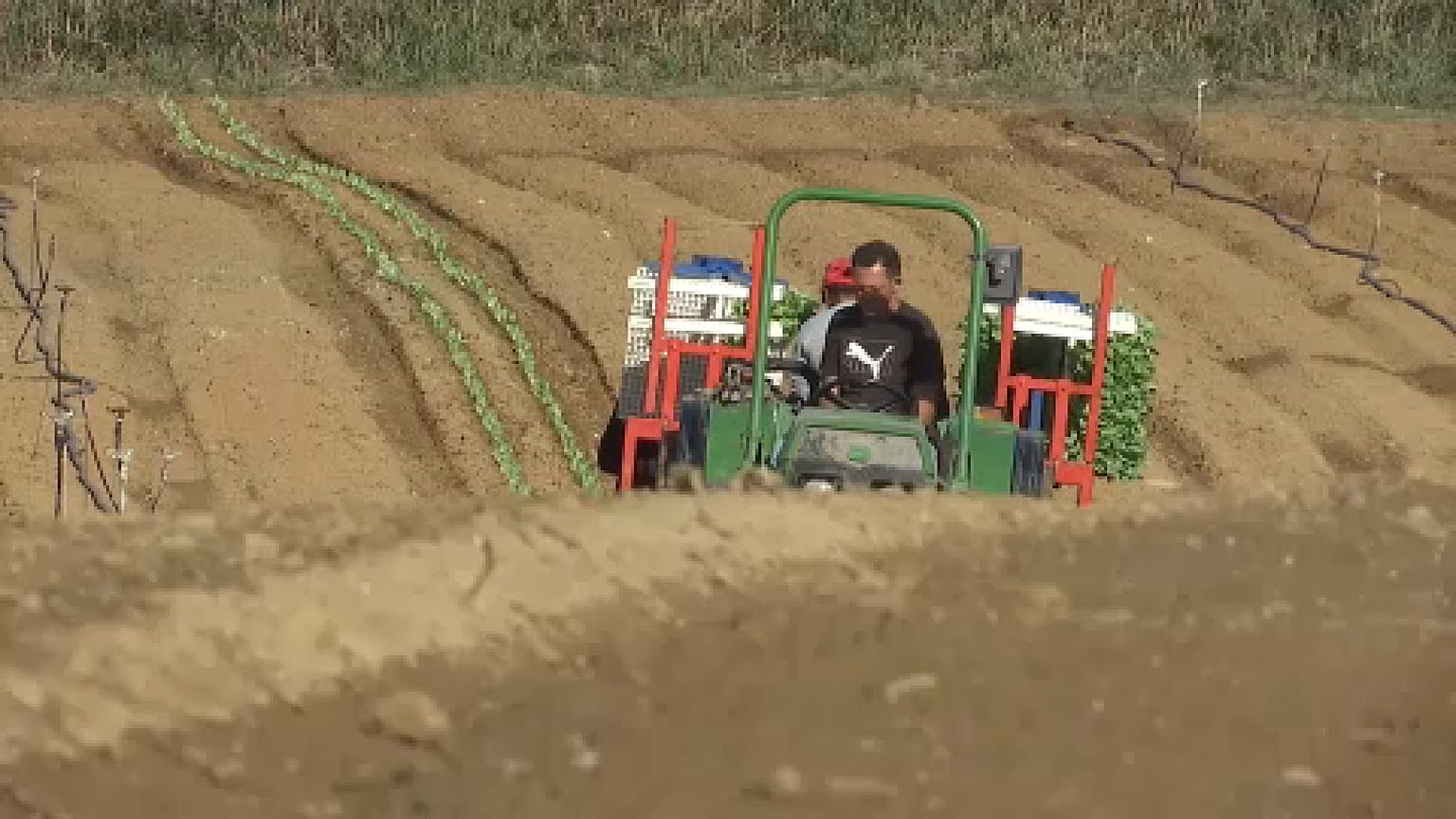 Un agricultor portugués trabajando en el campo