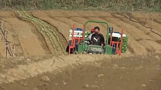 Un agricultor portugués trabajando en el campo
