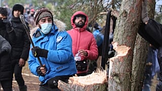 Один из мигрантов на границе рубит дерево