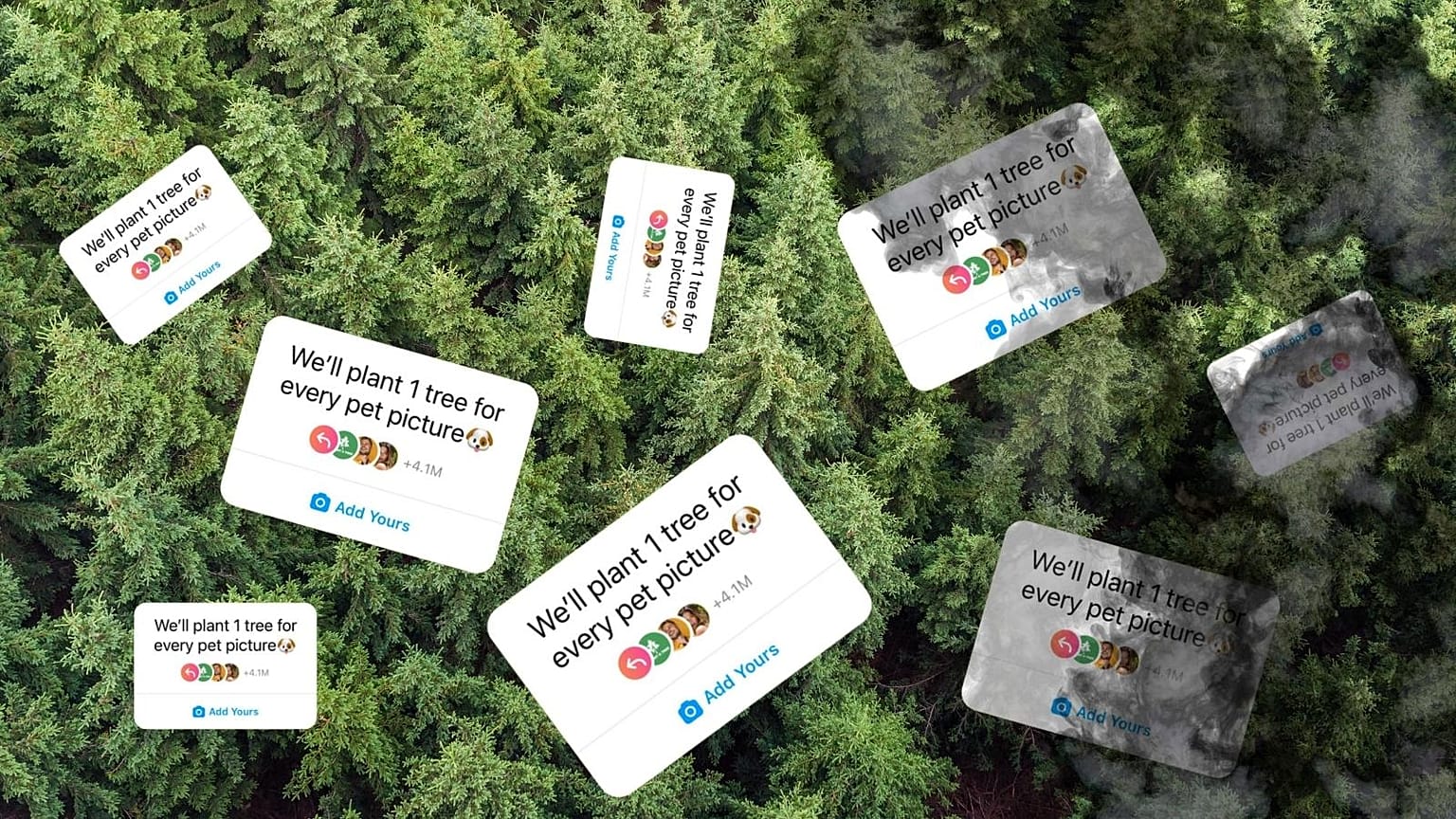 Share a pet and plant a tree claims an Instagram trend - but the truth is a lot murkier. 