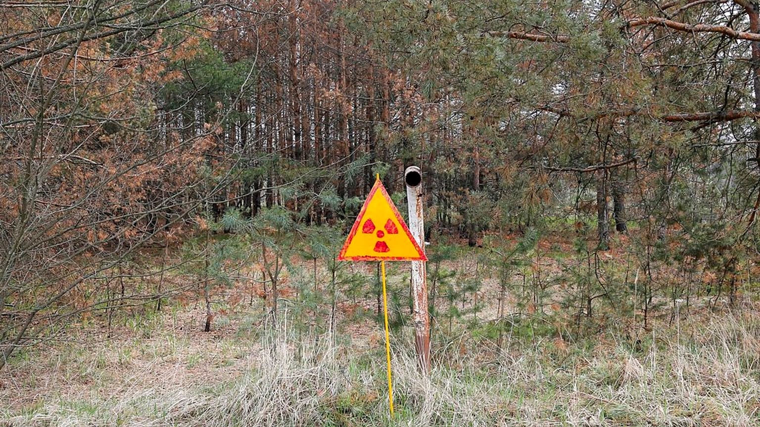Panneau signalant de la radioactivité près de Tchernobyl (Ukraine) - photo prise le 05/04/2017