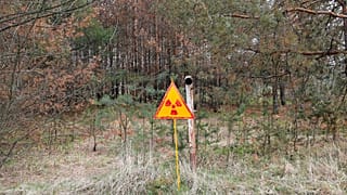 Panneau signalant de la radioactivité près de Tchernobyl (Ukraine) - photo prise le 05/04/2017