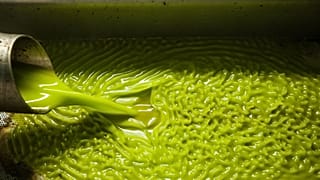 'Birin' is a residue left over from the olive-oil making process, and it can now be turned into fuel