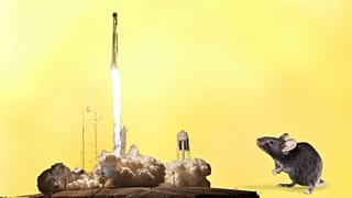 A SpaceX rocket brought the new crew members to the International Space Station.