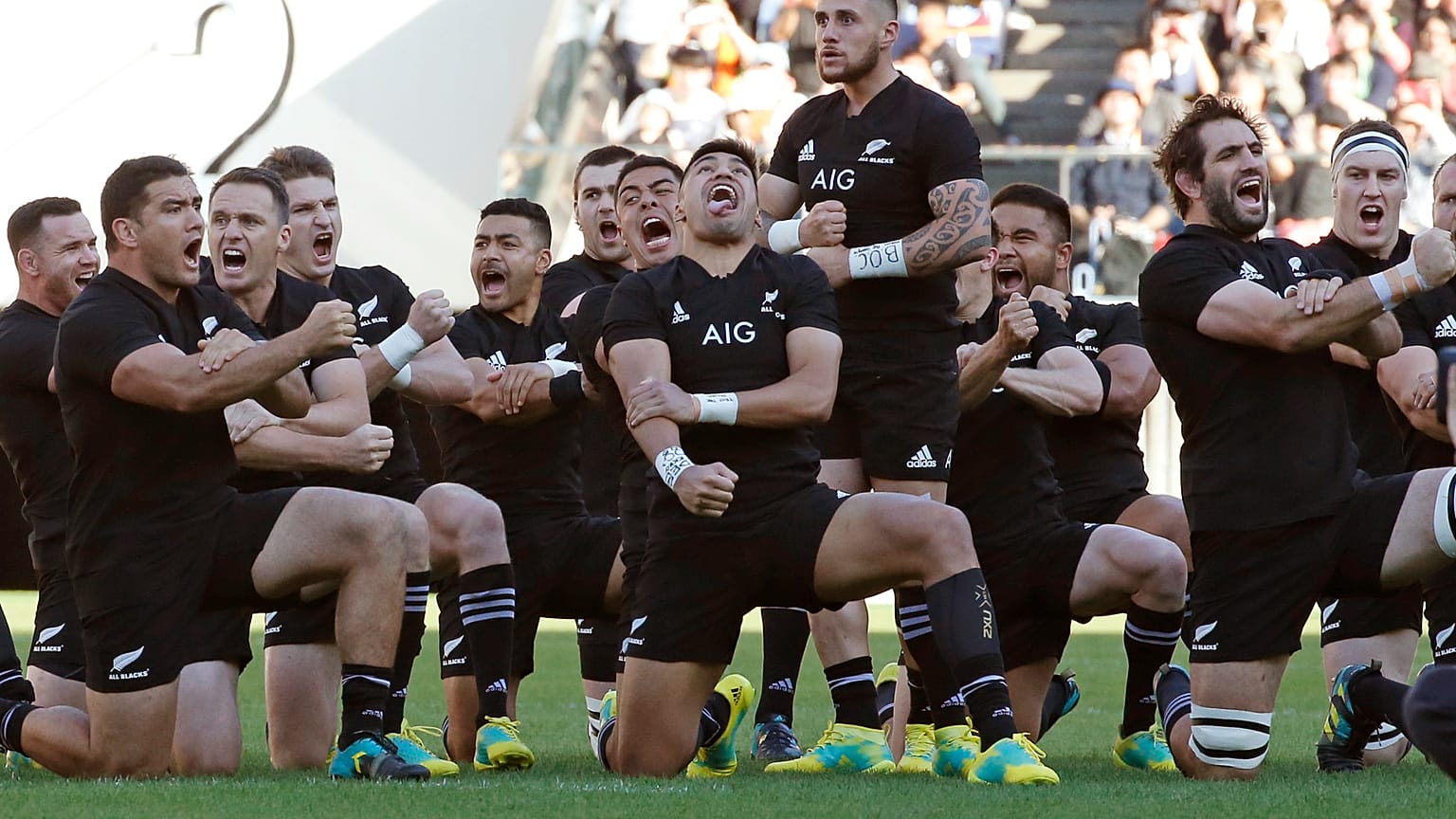 Rugby maçı öncesi Haka dansı yapan oyuncular (Arşiv)