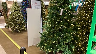 Dans un magasin de vente de sapins de Noël à Denver (USA), le 22/10/2021