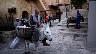تنظيف الأزقة الضيقة بين البيوت التركية بمساعدة الحمير بدلا عن الآليات