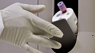 File photo laboratory