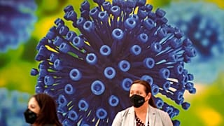 Pfizer готовится выпускать таблетки от COVID-19 в 95 странах
