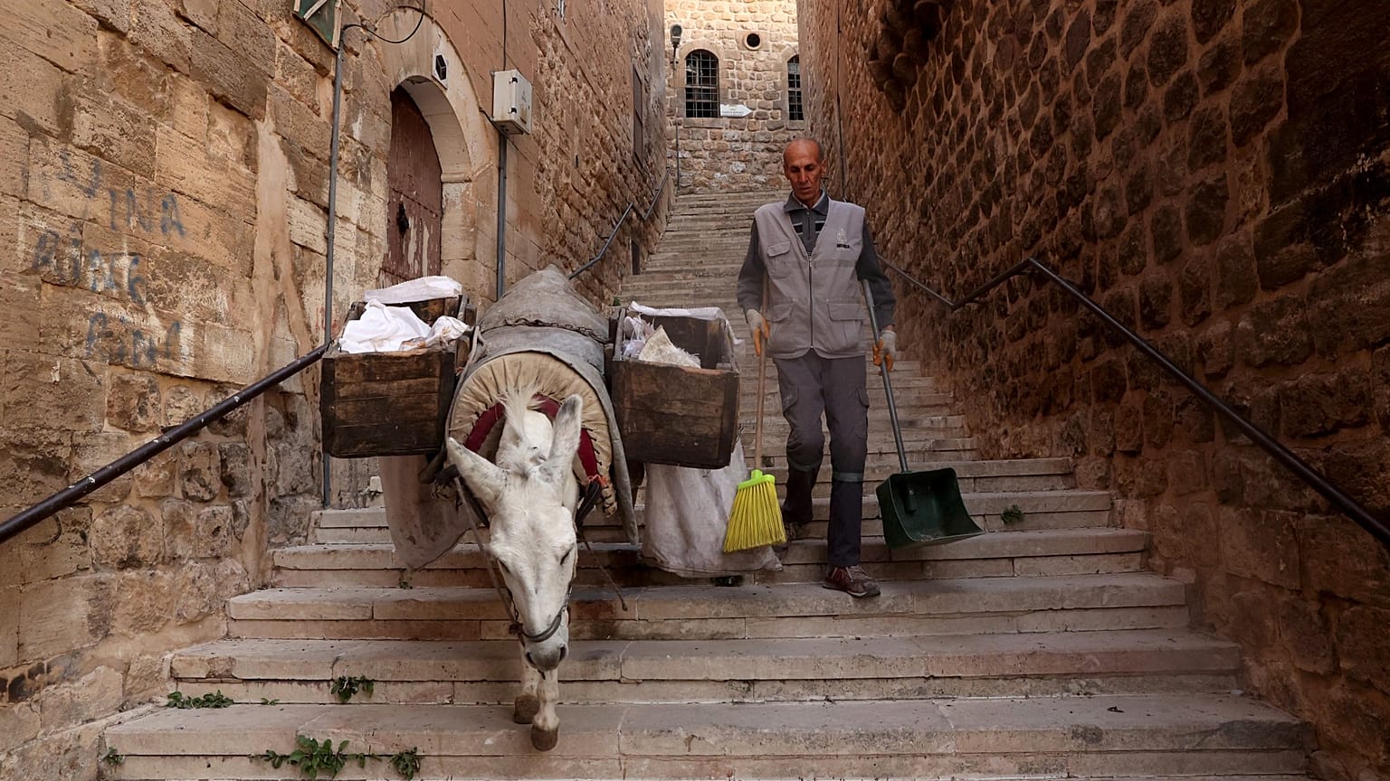 Mardin'in merkezindeki Artuklu Mahallesi'nde belediye işçileri çöpleri eşeklerle topluyor. Eşekler dar, yokuş ve merdivenli sokakları rahatlıkla inip çıkabiliyor.
