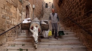 Mardin'in merkezindeki Artuklu Mahallesi'nde belediye işçileri çöpleri eşeklerle topluyor. Eşekler dar, yokuş ve merdivenli sokakları rahatlıkla inip çıkabiliyor.