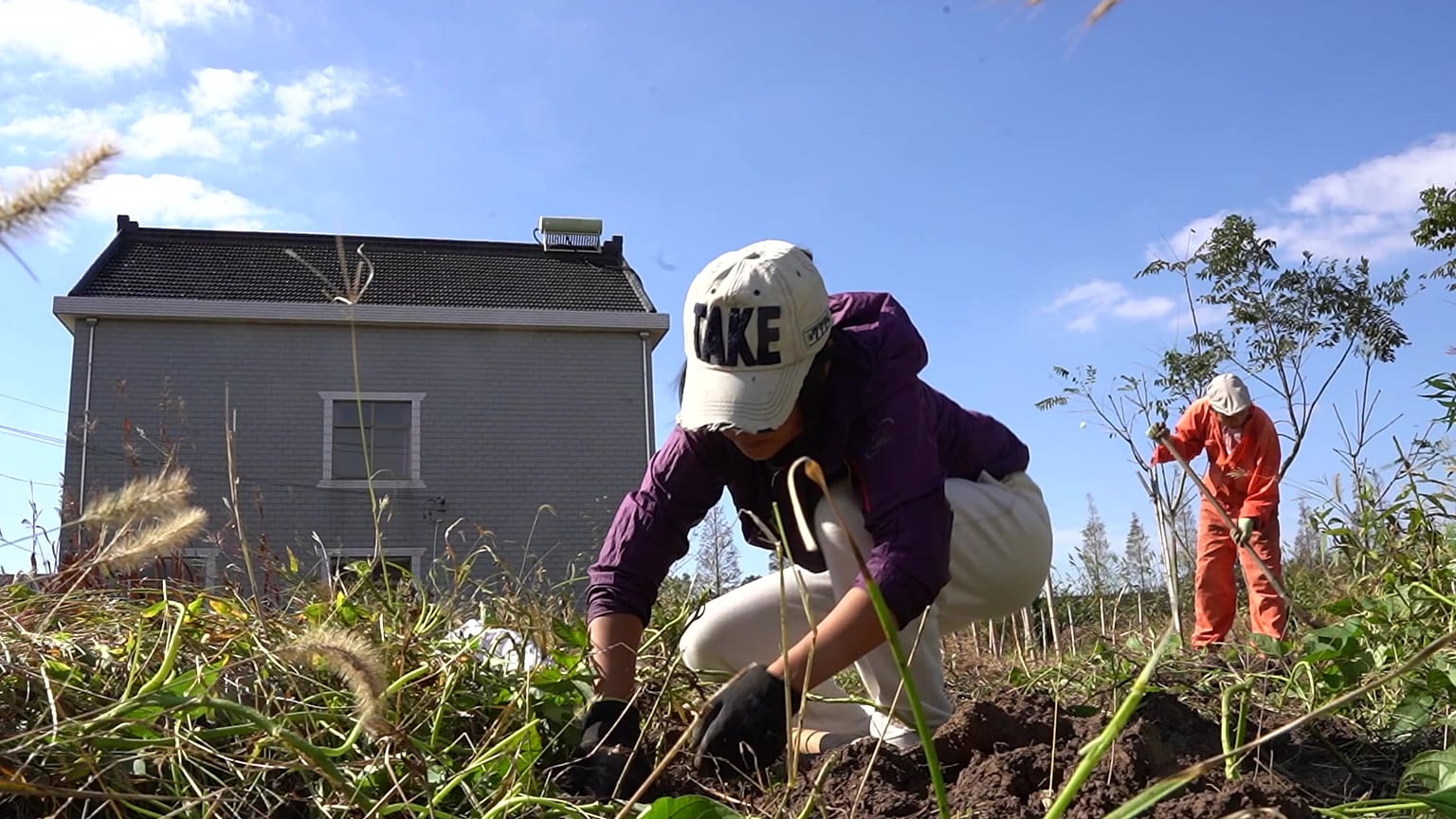 Meet the Chinese millennials quitting their city jobs for a life on the farm.