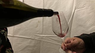 A la fête du "Beaujolais nouveau", le vin coule à flot - Beaujeu (Rhône), le 17/11/2021 (capture d'écran d'une vidéo euronews)