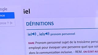 Das umstrittene Personalpronomen steht digital bereits im Wörterbuch "Le Petit Robert"