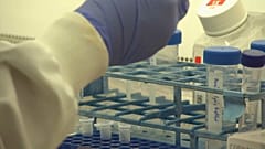 Test tubes in laboratory 